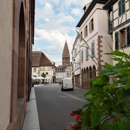 Le Repaire Du Chanceux Selestat Exterior photo
