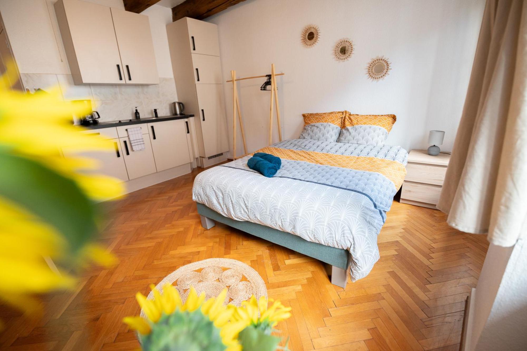 Le Repaire Du Chanceux Apartment Selestat