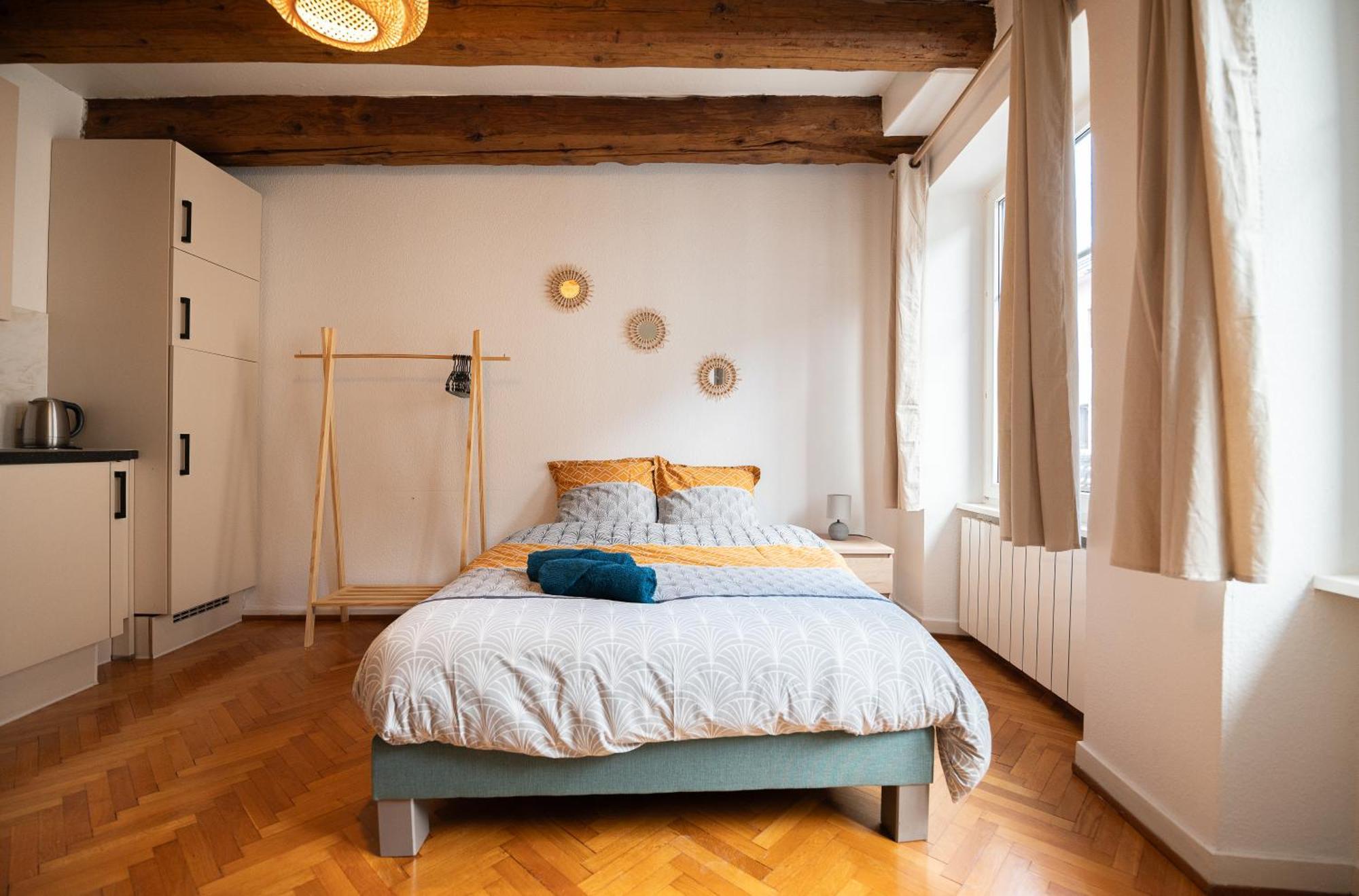 Le Repaire Du Chanceux Apartment Selestat