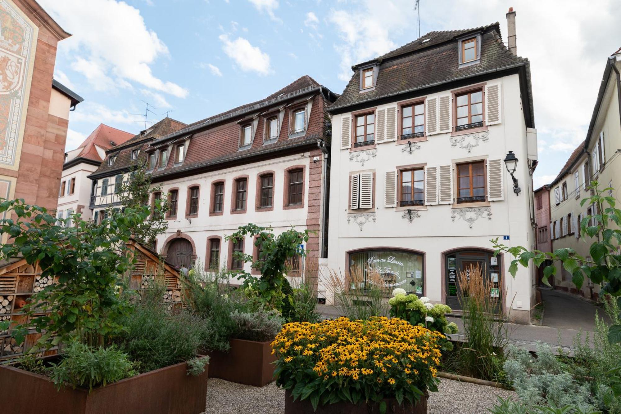Apartment Le Repaire Du Chanceux